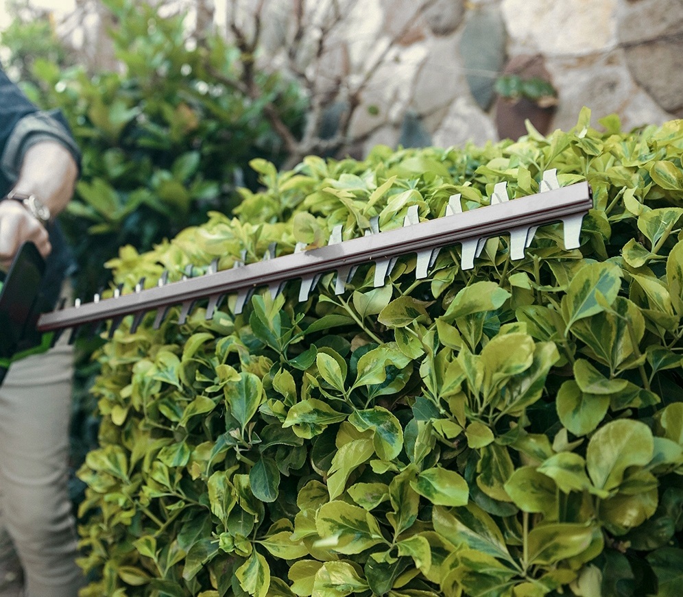 Nożyce do żywopłotu w trakcie pracy - ujęcie nr 1